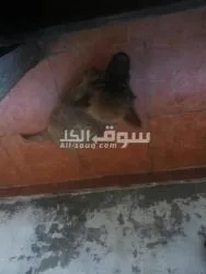 حي السلم بلسوق - 2