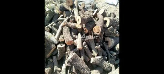 حطب للبيع