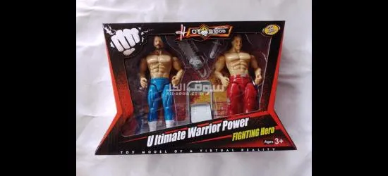 WW Wrestling - 3