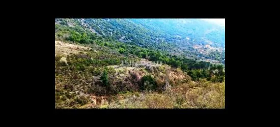 ارض للبيع في معاصر الشوف 15497m ² - 2